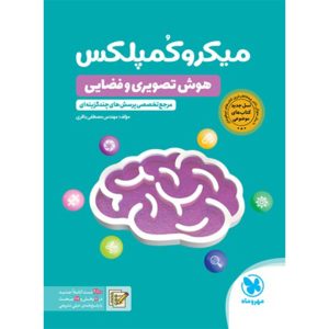 کتاب میکروکمپلکس هوش تصویری و فضایی