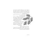 درخت آرزو (2)