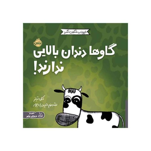 حیوانات شگفت‌انگیز گاوها دندان بالایی ندارند (1)