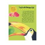 چون و چرا خوراکی‌ها (3)